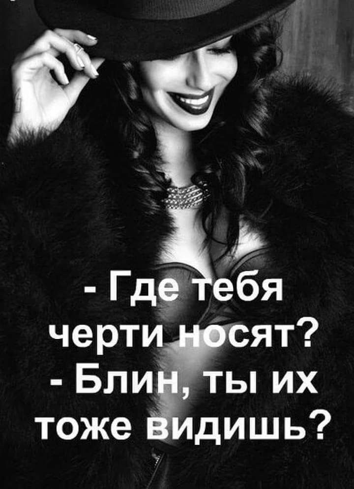 гдетебя черти, ят?