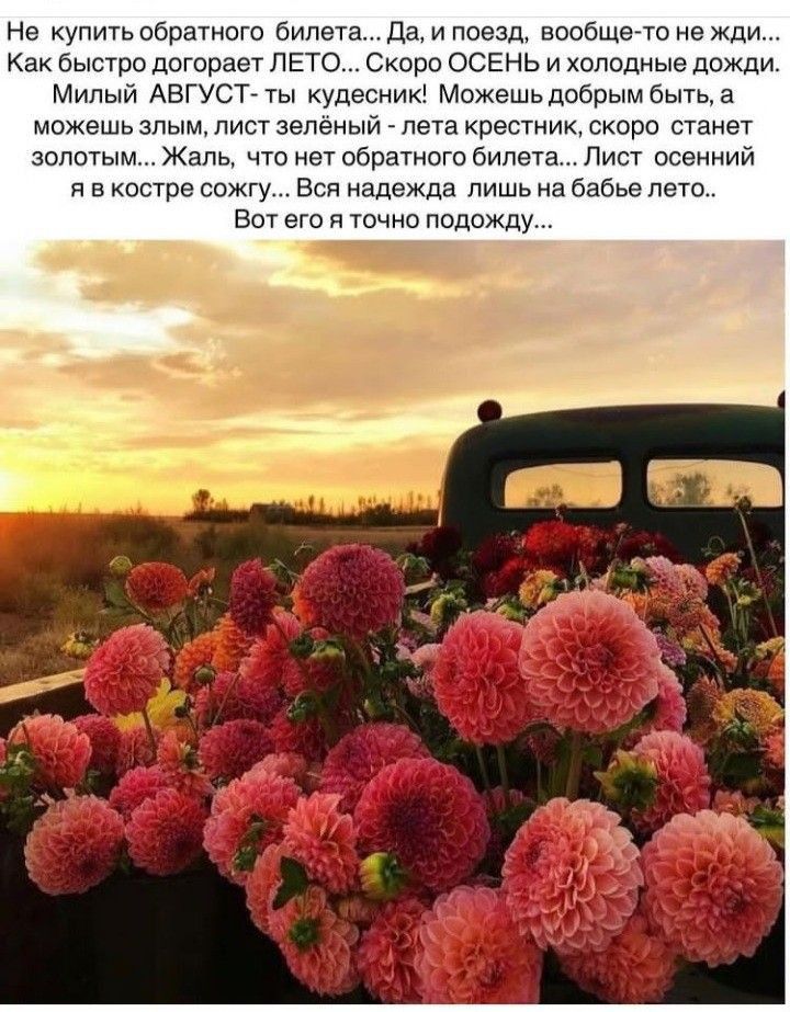 Не купить обратного билета Да и поезд вообщето не ЖДИ Как быстро догорает ЛЕТО Скоро ОСЕНЬ и холодные дожди Милый АВГУСТ ты кудесник Можешь добрым быть а можешь злым лист зелёный лета крестник скоро станет золотым Жаль что нет обратного билета Лист осенний я в костре сожгу Всп надежда лишь на бабье лето Вот его я точно подожду