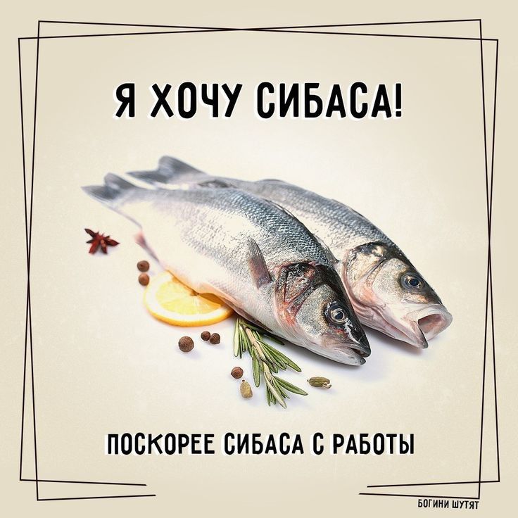 Я ХОЧУ СИБАСА ПОСКОРЕЕ СИБАСА С РАБОТЫ Ц ьпгипи шпят