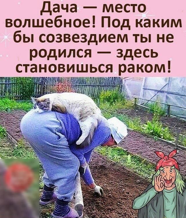 дача место волшебное Под каким бы созвездием ты не родился здесь становишься раком