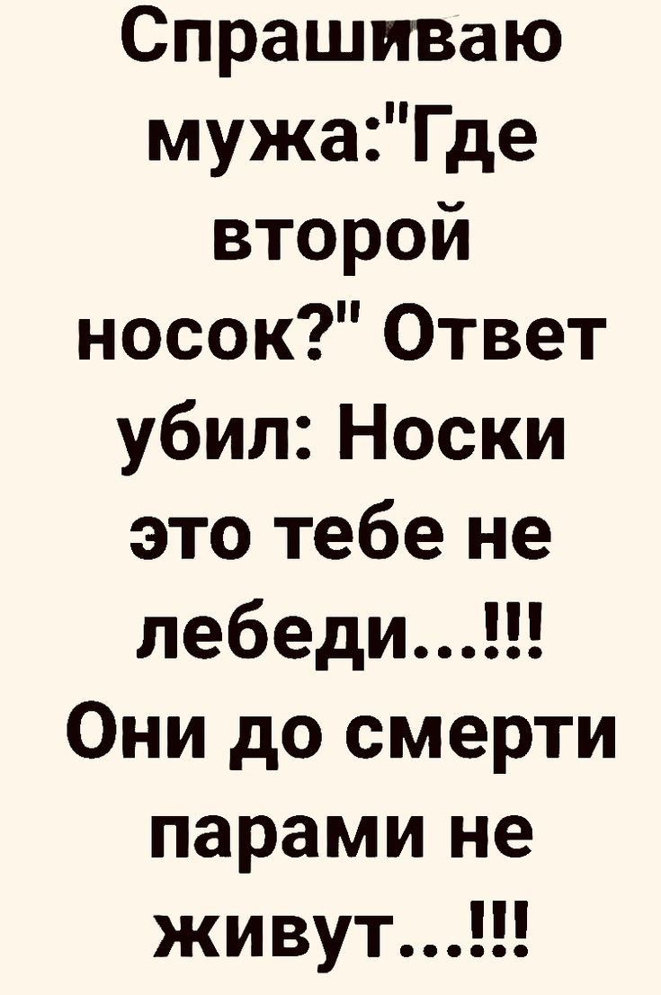 Спрашиваю мужаГде второй носок Ответ убил Носки это тебе не Они до смерти парами не