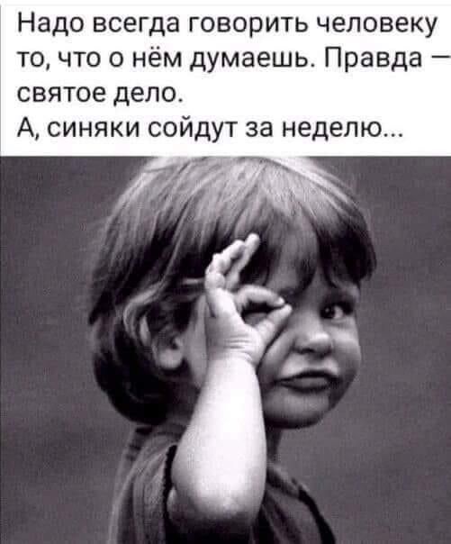 Надо всегда говорить человеку точто о нём думаешь Правда святое дело А синяки сойдут за неделю