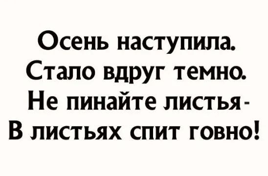 Осень наступила Стало вдруг темно Не пинайте листья В листьях спит говно