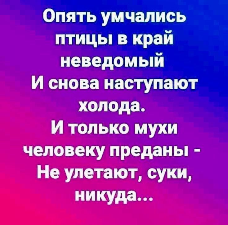 Опять умчались птицы в край неведомый И снова наступают холода И только мухи человеку преданы Не улетают суки никуда