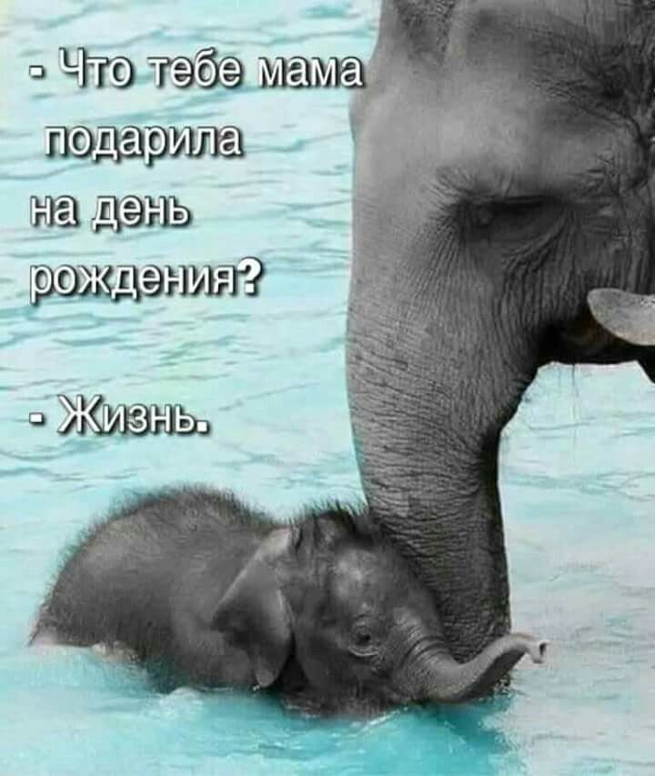 в Что Тэда м 3 пашет на дэнъ _аэнуш