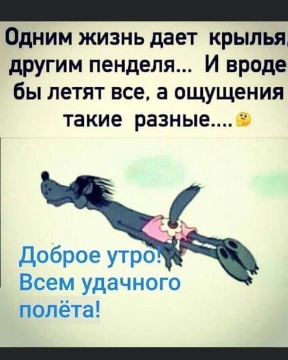 Одним жизнь дает крылья другим пенделя И вроде бы летят все а ощущения такие разныео Доброе утро 7 Всем удачного полёта