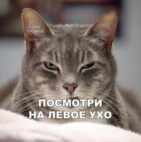 Осмотри   . Ндл ево е'у'ёо