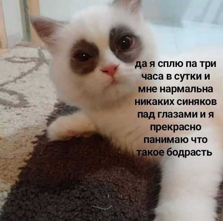 да Я СПЛЮ па три часа В СУТКИ И мне НЗРМЗЛЬНЭ _ никаких синяков пад глазами и я прекрасно панимаю что _ бодрасть