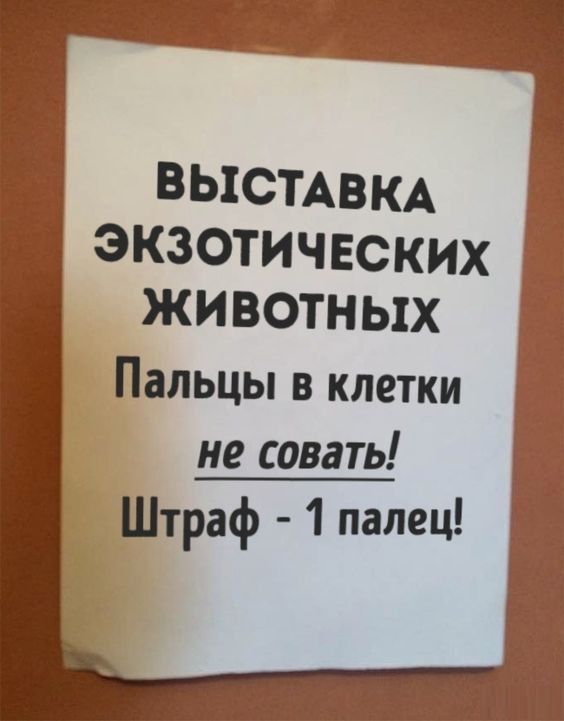 ВЫСТАВКА ЭКЗОТИЧЕСКИХ ЖИ ВОТН ЫХ Пальцы в клетки не совать Штраф 1 палец