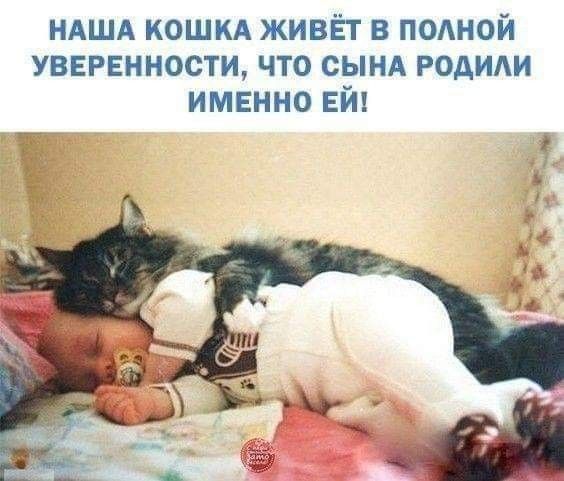 НАША кошкА живёт в подной уверенности что сынд годиди именно ЕЙ