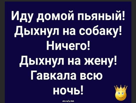 Иду домой пьяный дыхнул на собаку Ничего Дыхнул на жену Гавкала всю ночь