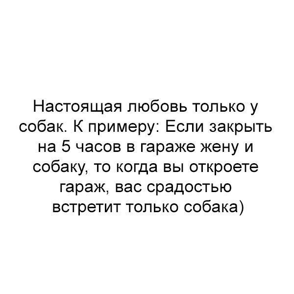 Настоящая любовь только у собак К примеру Если закрыть на 5 часов в гараже жену и собаку то когда вы откроете гараж вас срадостью встретит только собака
