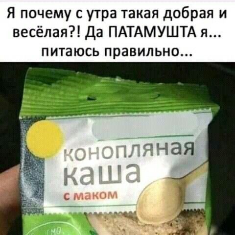 Я почему с утра такая добрая и весёлая Да ПАТАМУШТА я питаюсь правильно С ХЦМНМ ч тц ъ