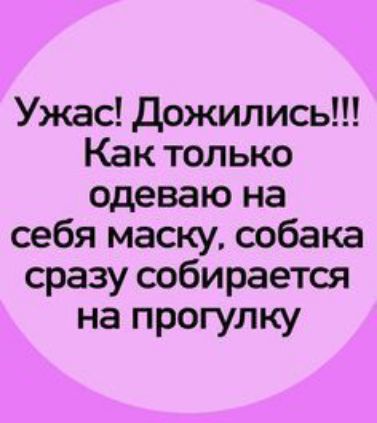 Ужас дожил ись Как только одеваю на себя маску собака сразу собирается на прогулку