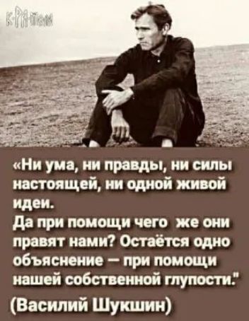 Ни ума ии правды нн силы настоящей ни одной живой идеи до при помощи чего же они правят няни Оспётоя одно объяснение _ при помощи нашей собственной тупости Василий Шукшин