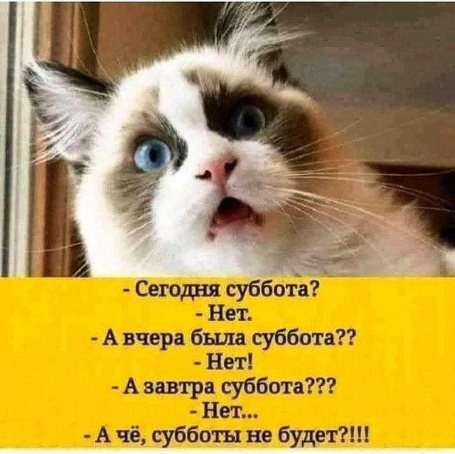 тп ут пг дтп итд п