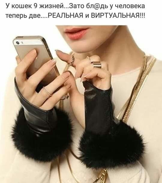 У кошек 9 жизнейЗато блдь у человека теперь двеРЕАЛЬНАЯ и ВИРТУАЛЬНАЯ