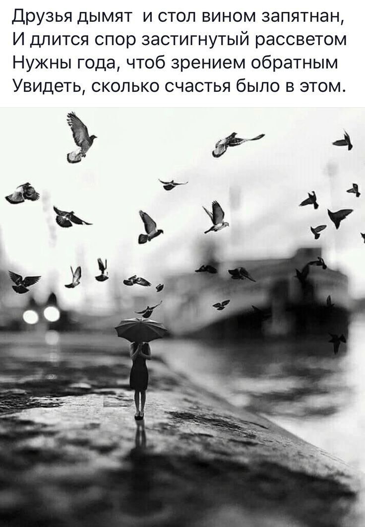 Друзья дымят и стол вином запятнан И длится спор застигнутый рассветом Нужны года чтоб зрением обратным Увидеть сколько счастья было в этом