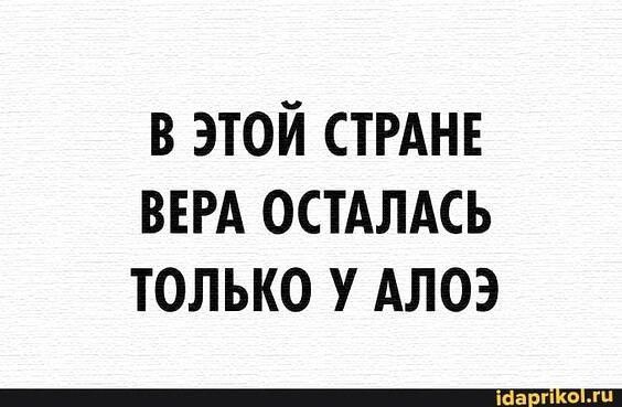 в этой СТРАНЕ ВЕРА остАЛАсь только у Алоэ