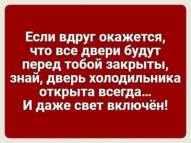 Если вдруг окажется что все двери будут перед тобой закрыты знай дверь холодильника открыта всегда И даже свет включён