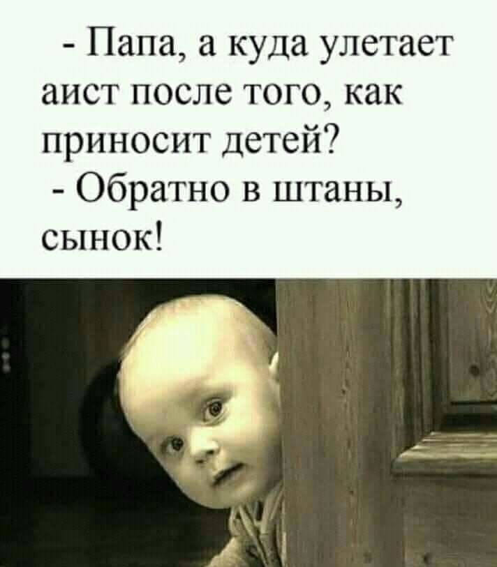 Папа а куда улетает аист после того как приносит детей Обратно в штаны сынок