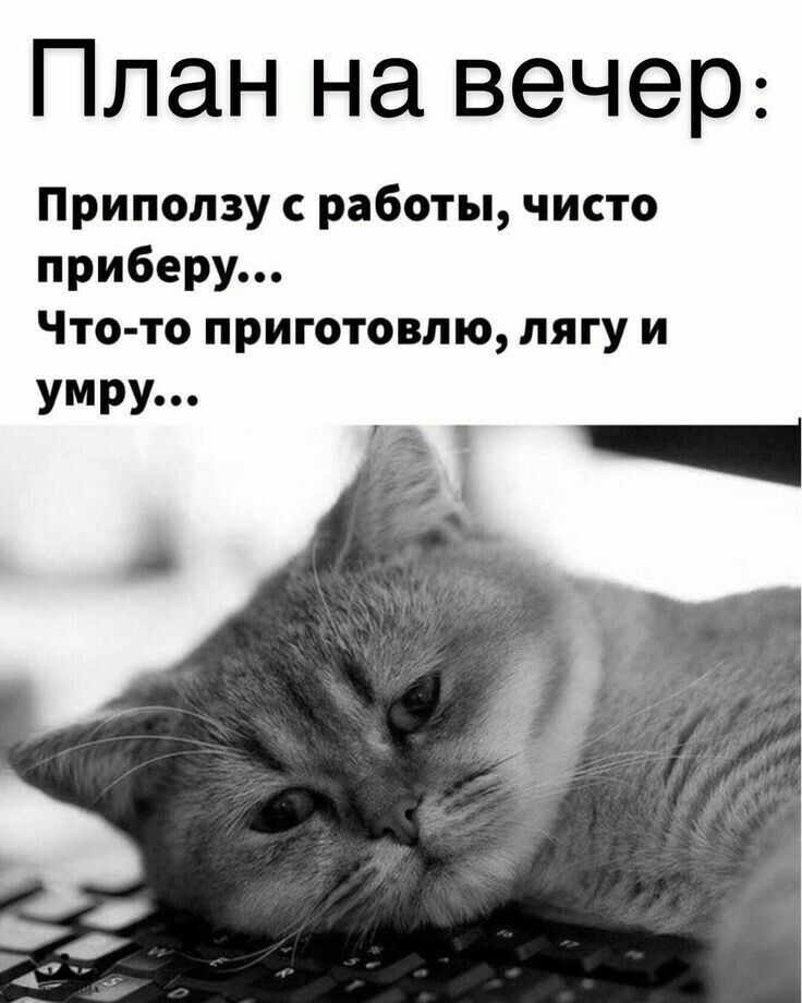 План на вечер Приползу работы чисто приберу Что то приготовлю лягу и умру А