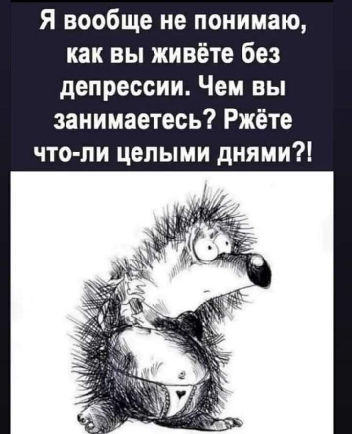 Я вообще не понимаю как вы живёте без депрессии Чем вы занимаетесь Ржете что пи целыми днями