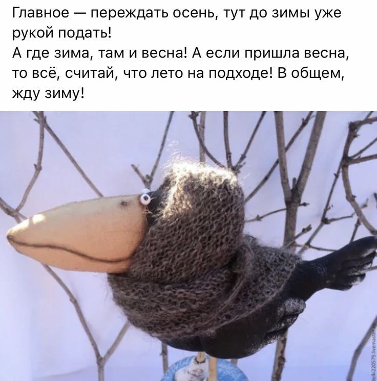 Главное ПЕРЕЖДЭТЬ ОСЗНЬ ТУТ ДО ЗИМЫ уже рукой подать А где зима там и весна А если пришла весна то всё считай что лето на подходе В общем жду зиму