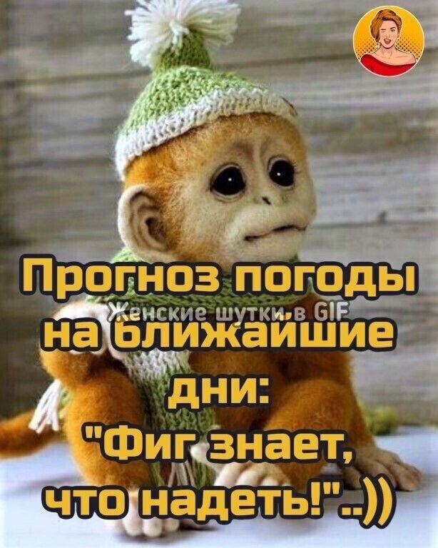 анти _ в на О жаишие а