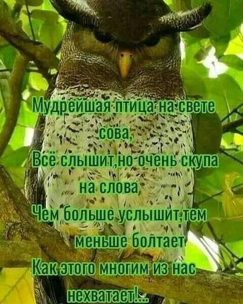 рь Ввещльіши нЁ слова 319 іи Чспышудтэтем г _ ч ньше Бплтаеп