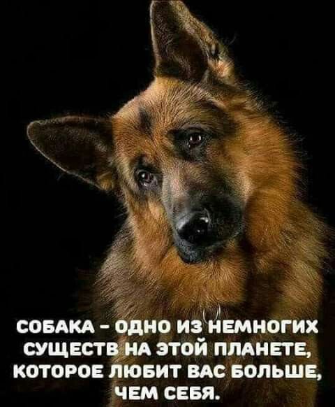_ совдкд о изЧвмногих сущее г Этой принята которо _ ювит вм БОЛЬШЕ __ісвм сева
