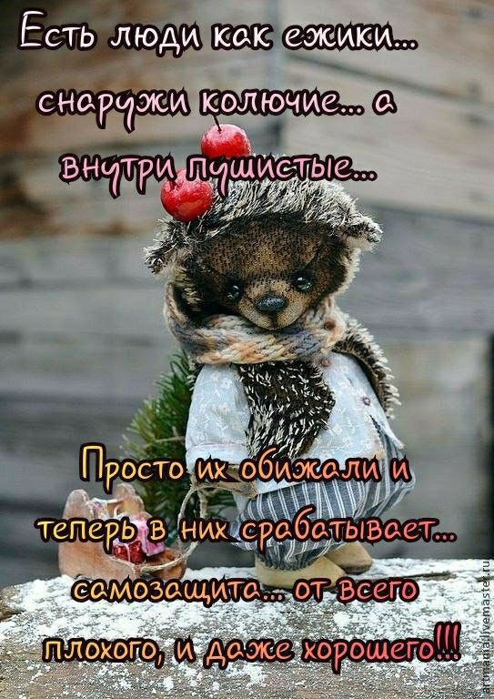 снащжи колючие 1