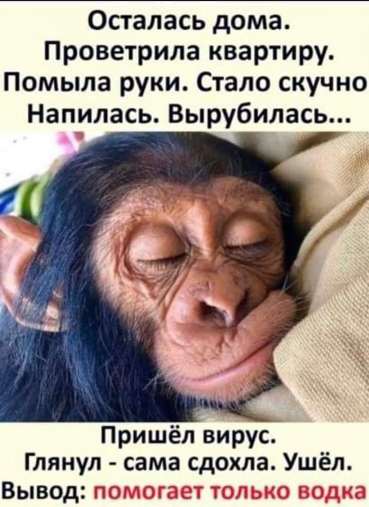 Осталась дома Проветрила квартиру Помыла руки Стало скучно Напилась Вырубилась Пришёл вирус Глянул сама сдохла Ушёл Вывод _ г
