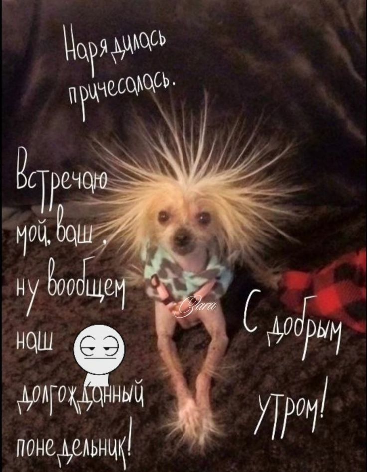 наш Ый понеёельнцк
