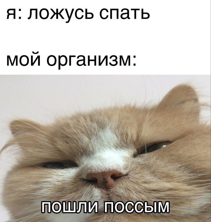 Я ЛОЖУСЬ СП8ТЬ мой организм Пошли поссым