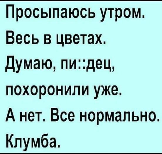 Просыпаюсь утром Весь в цветах Думаю пидец похоронили уже А нет Все нормально Клумба