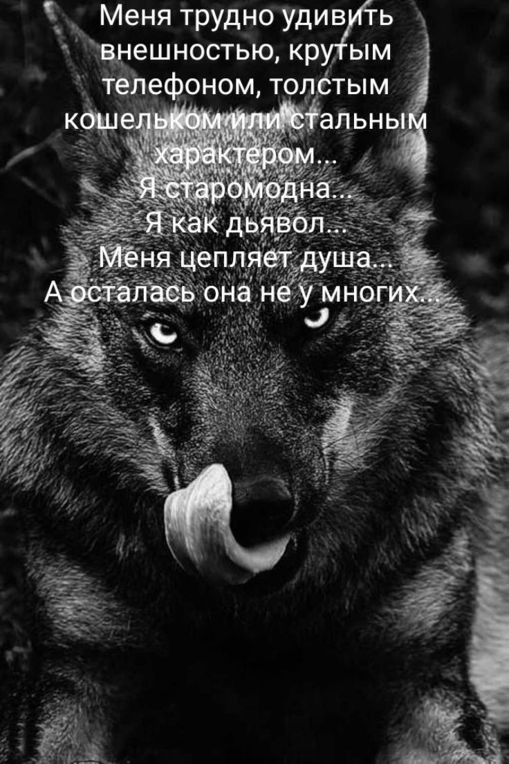 __ Меня трудно удив ь чвнешностью кр ым тейефоном тол тым УМ