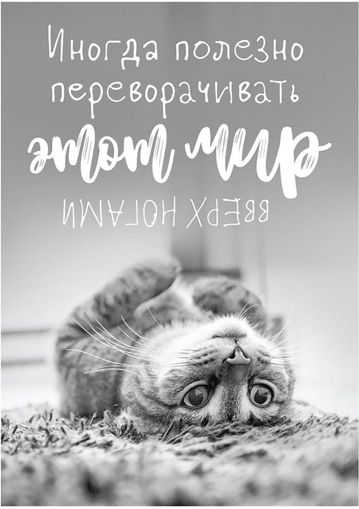 Иногда пошеЗно переворачиегпь