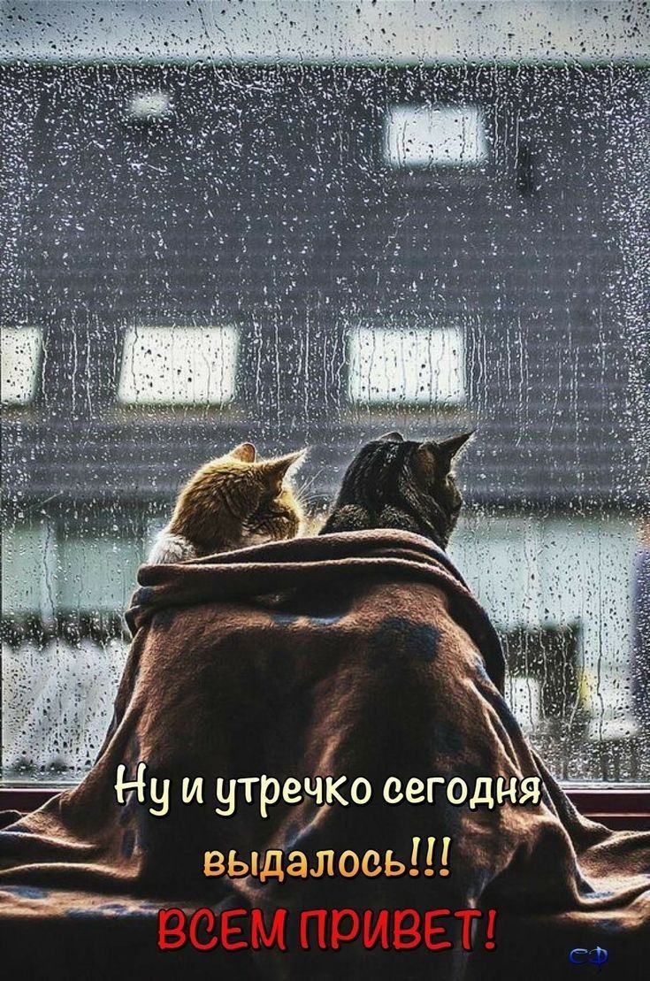 у и утреэко еегодйя выдалось