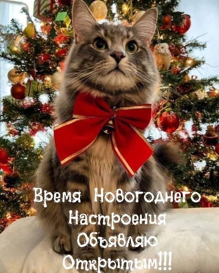 Время Новэюзлеъо
