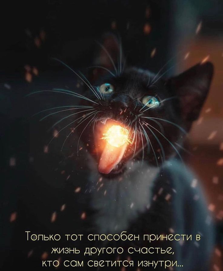 В Топько тот способен принечги в жизнь другого счостье КТО СОМ СВЗТИТСЯ ИЗНУТДИы