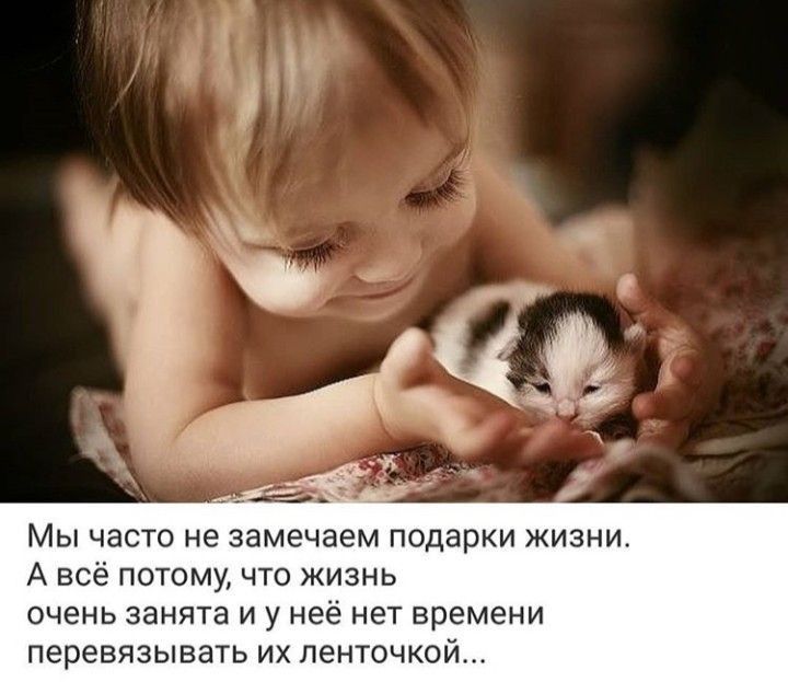 МЫ ЧЭСТО не замечаем ПОДЭРКИ ЖИЗНИ А всё потому что жизнь очень занята и у неё нет времени перевязывать их ленточкой