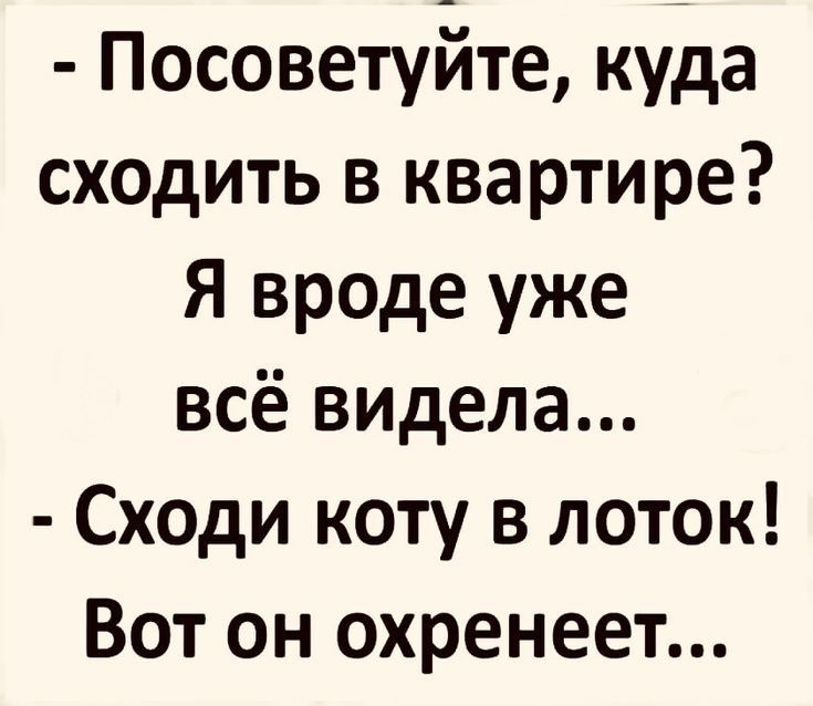 Посоветуйте куда сходить в квартире Я вроде уже всё видела Сходи коту в лоток Вот он охренеет
