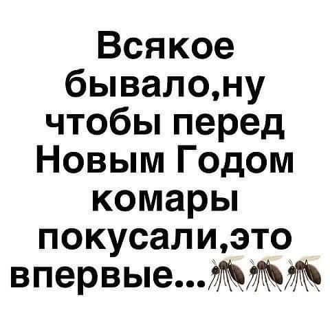 Всякое бывалону чтобы перед Новым Годом комары покусал иэто впервые