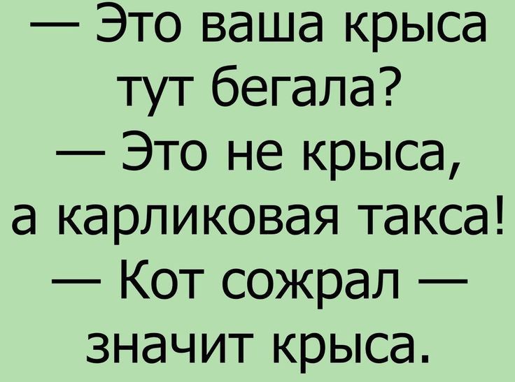 Это ваша крыса тут бегала Это не крыса а карликовая такса Кот сожрал значит крыса