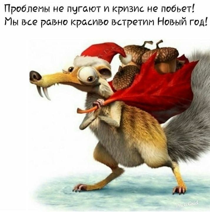 Проблемы не пугают и кризис не побьет Мы все равно красиво встретим Новый год