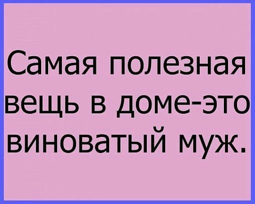 Самая полезная вещь в доме это виноватый муж