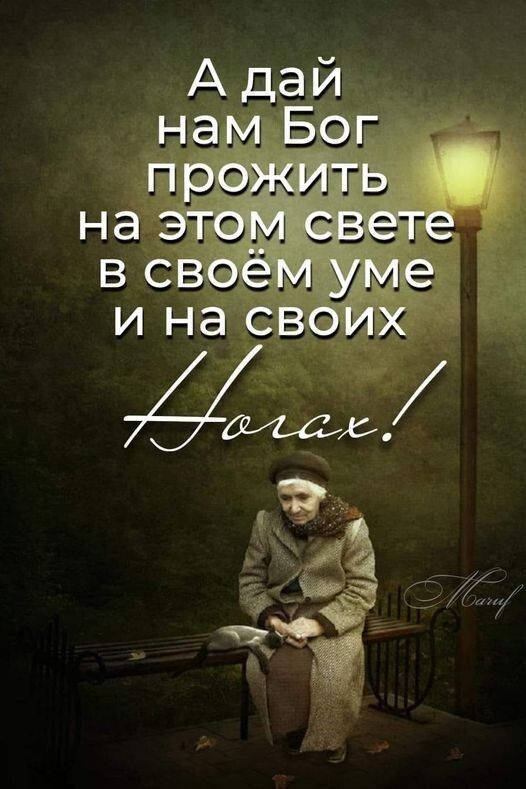 Свет ы,