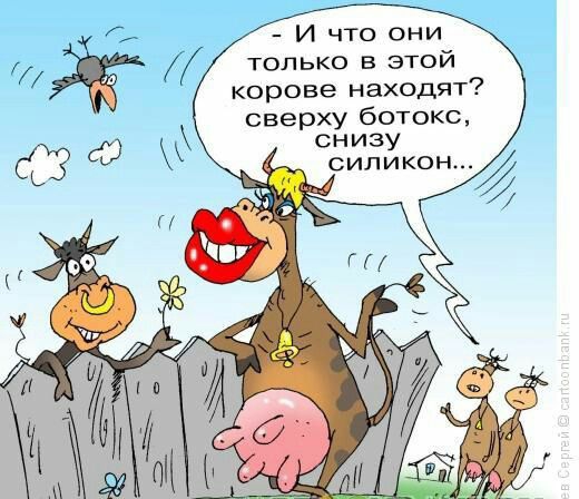 И что они только в этой корове находят сверху ботокс снизу силикон