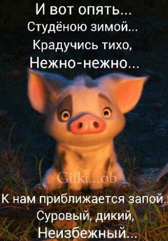 И вот опять Студёною зимой Крадучись тихо Нежно нежно К нам приближается запой Сур й дикий